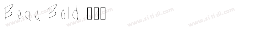 Beau Bold字体转换